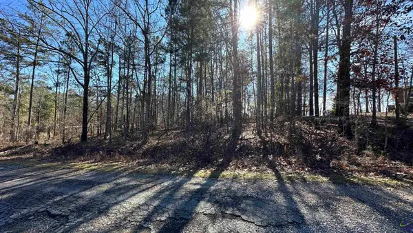 Lot 208 Anthemis Drive, Sparta, GA 31087