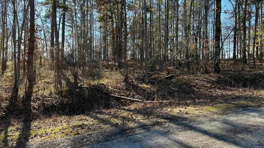 Lot 208 Anthemis Drive, Sparta, GA 31087 - Image #2