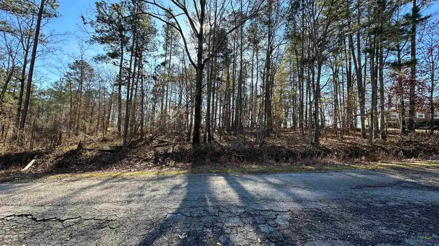 Lot 208 Anthemis Drive, Sparta, GA 31087 - Image #3