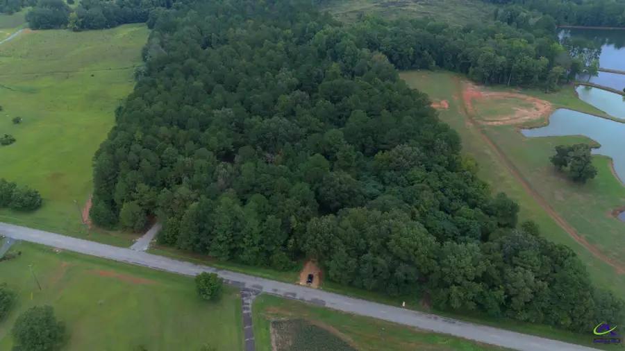 Grovania Rd, Elko, GA 31025 - Image #2