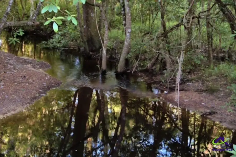 Grovania Rd, Elko, GA 31025 - Image #3