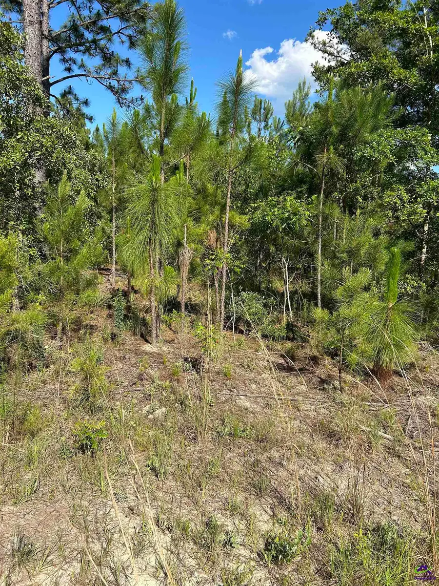 Tract C Hall Road, Dublin, GA 31021 - Image #2