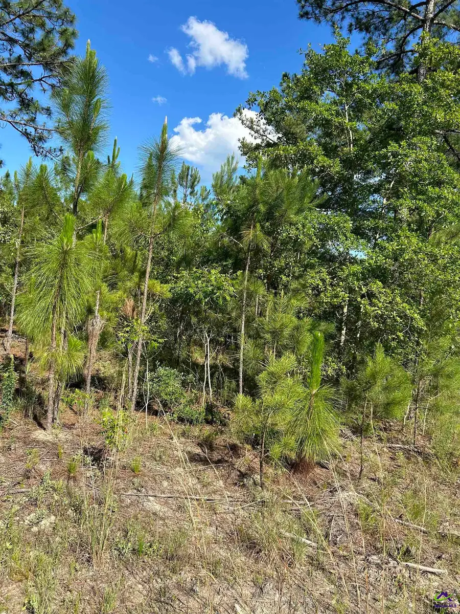 Tract C Hall Road, Dublin, GA 31021 - Image #3