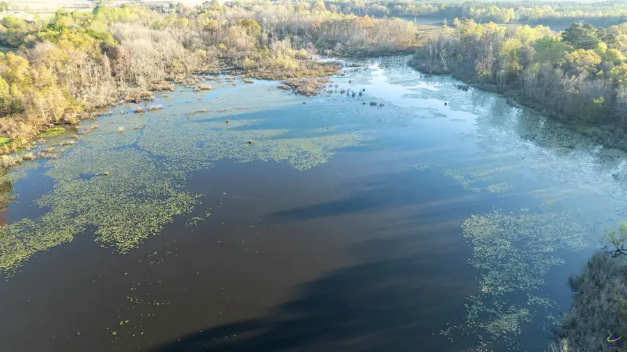 568 W 118 Highway, Leesburg, GA 31787 - Image #3