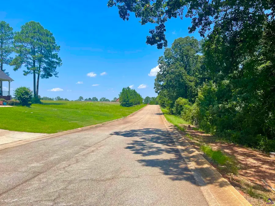 Lot 11 Oak Drive, Hawkinsville, GA 31063 - Image #3