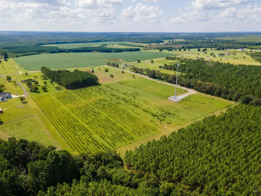 759 Pitts Rd., Hawkinsville, GA 31036 - #3