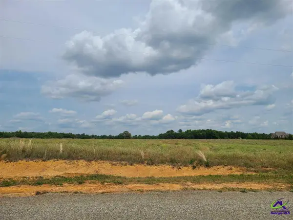 Tract 13C Williams Circle, Elko, GA 31025