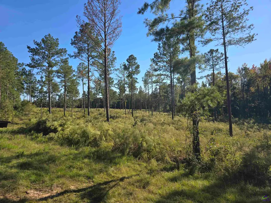 0 Ralph Wood, Dublin, GA 31021 - Image #3