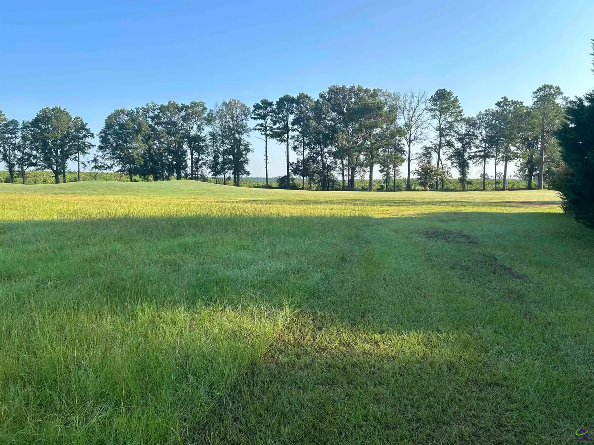 41 Crabapple Drive, Hawkinsville, GA 31036 - #1