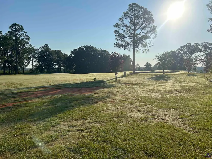 41 Crabapple Drive, Hawkinsville, GA 31036 - #2