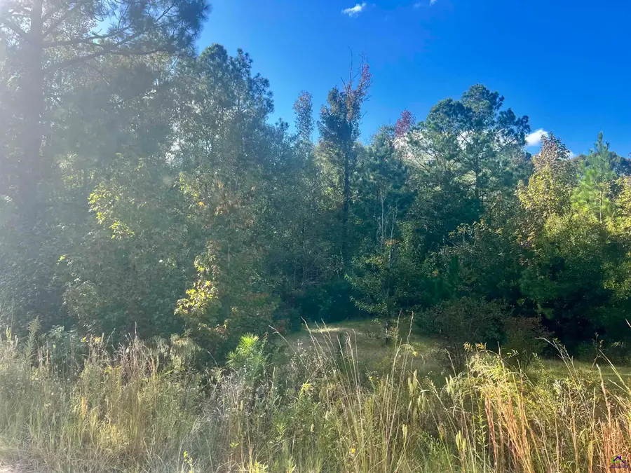 0 Shady Oaks, Eastman, GA 31023 - #2