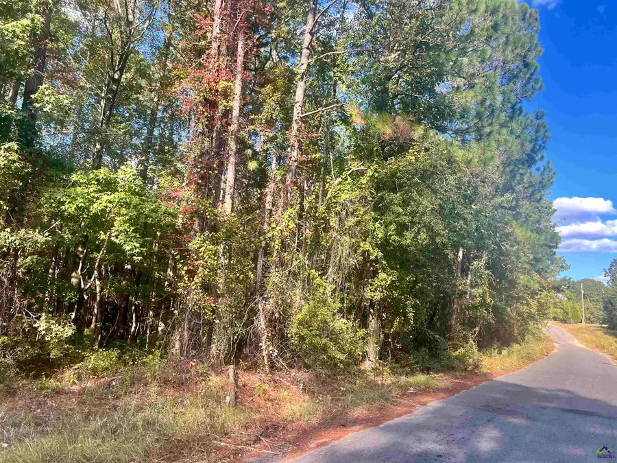0 Shady Oaks, Eastman, GA 31023 - #3