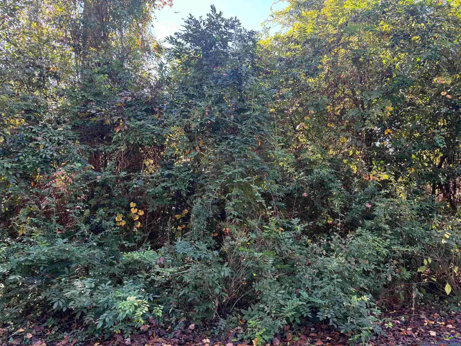 108 Ida Avenue, Warner Robins, GA 31088 - Image #3