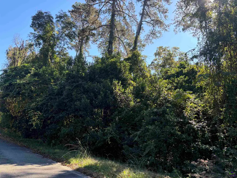 106 Ida Avenue, Warner Robins, GA 31088 - Image #3