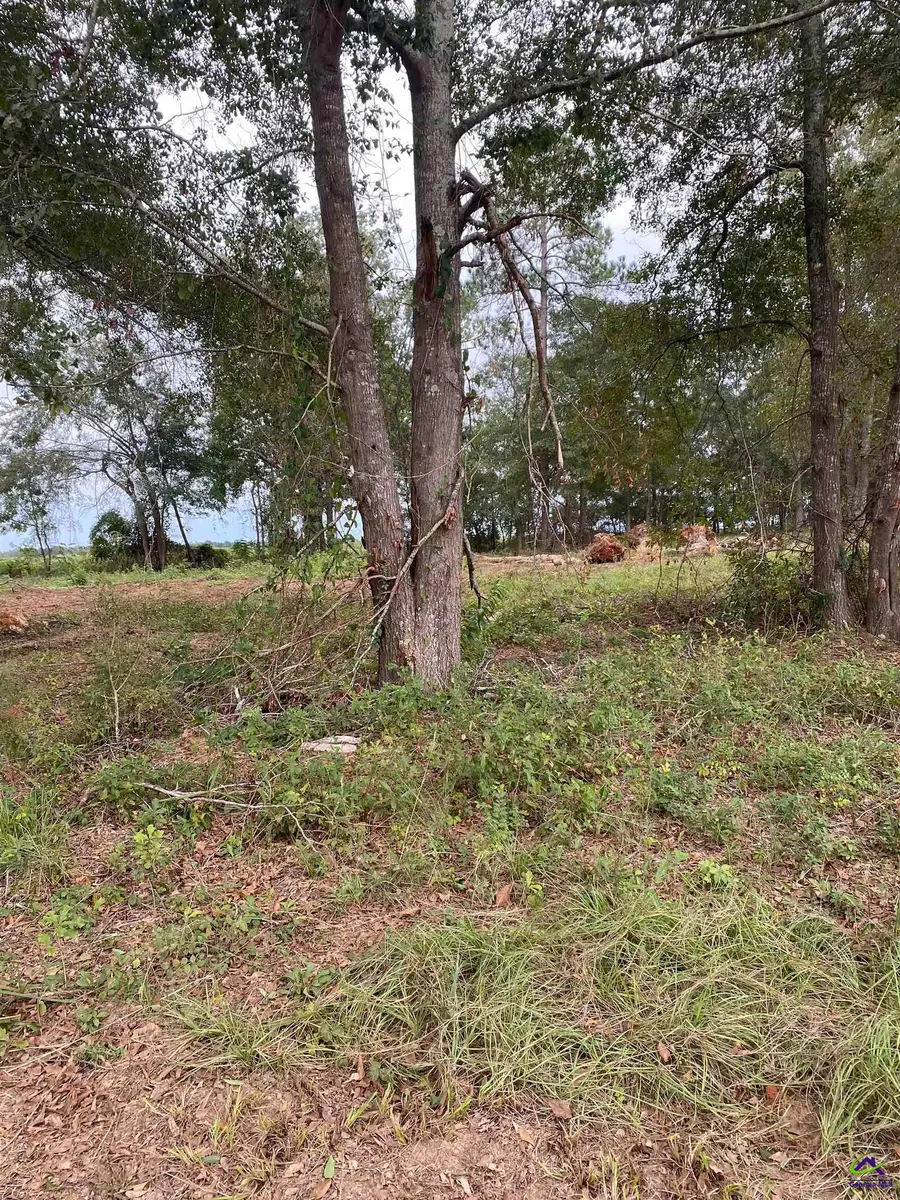 c 12 Oak Drive, Hawkinsville, GA 31036 - Image #2