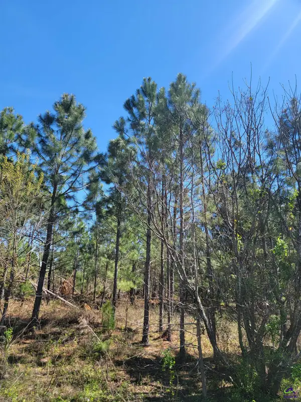 0 Benny Sharp Road, Hawkinsville, GA 31036