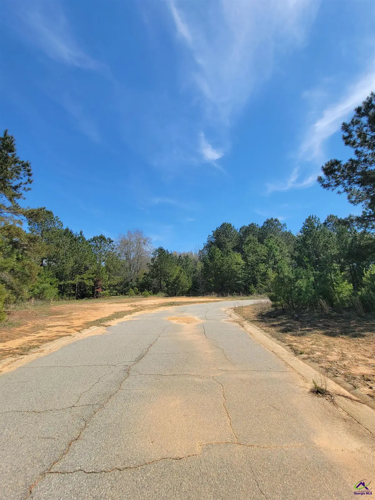 0 Progress Avenue, Hawkinsville, GA 31036 - Image #1