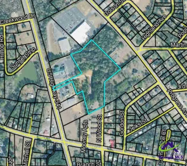 0 Progress Avenue, Hawkinsville, GA 31036 - Image #2