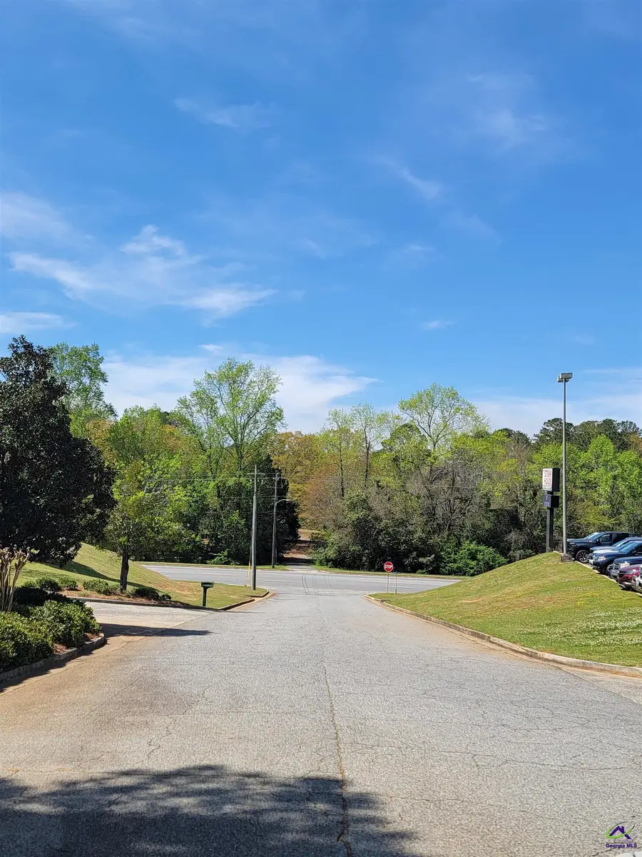0 Progress Avenue, Hawkinsville, GA 31036 - Image #3
