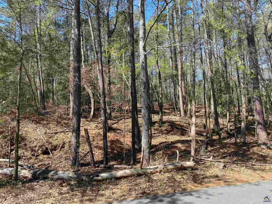 0 Sandra Drive, Gray, GA 31032 - Image #2