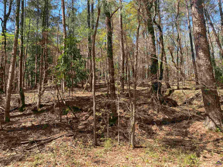 0 Sandra Drive, Gray, GA 31032 - Image #3