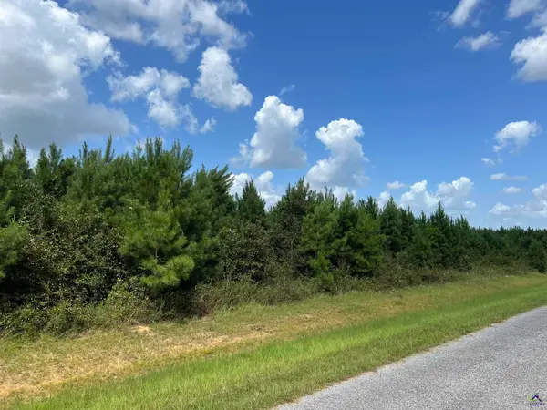 Lot 6 Whitfield Road, Elko, GA 31025