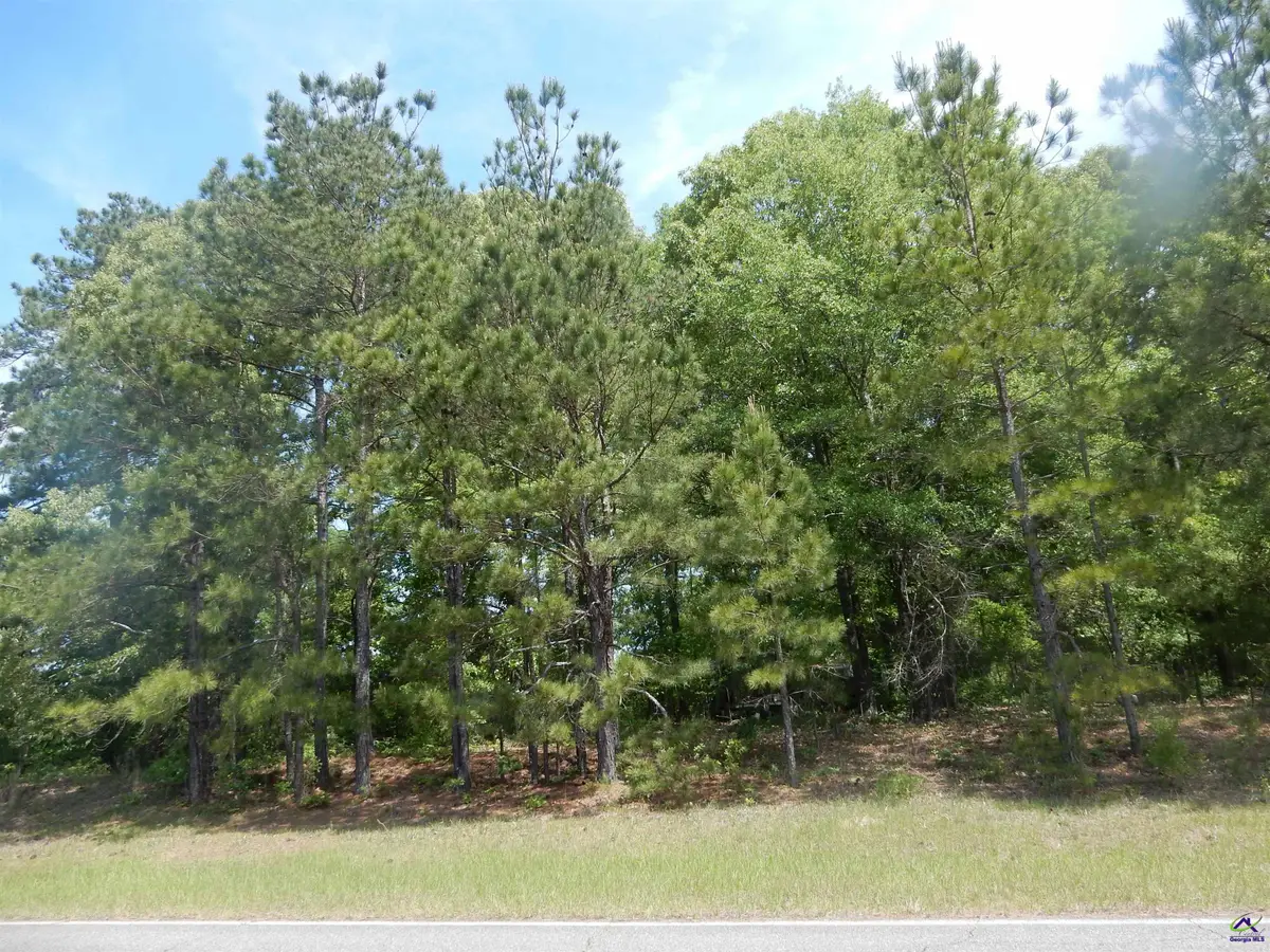 0 Old Gordon Road, Dry Branch, GA 31020 - Image #1