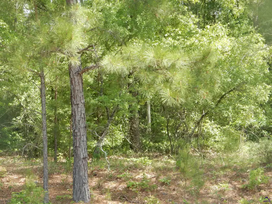 0 Old Gordon Road, Dry Branch, GA 31020 - Image #2