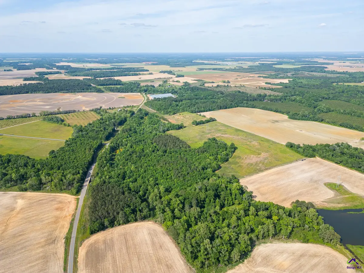 1 Tippettville Road, Pineview, GA 31071 - Image #1