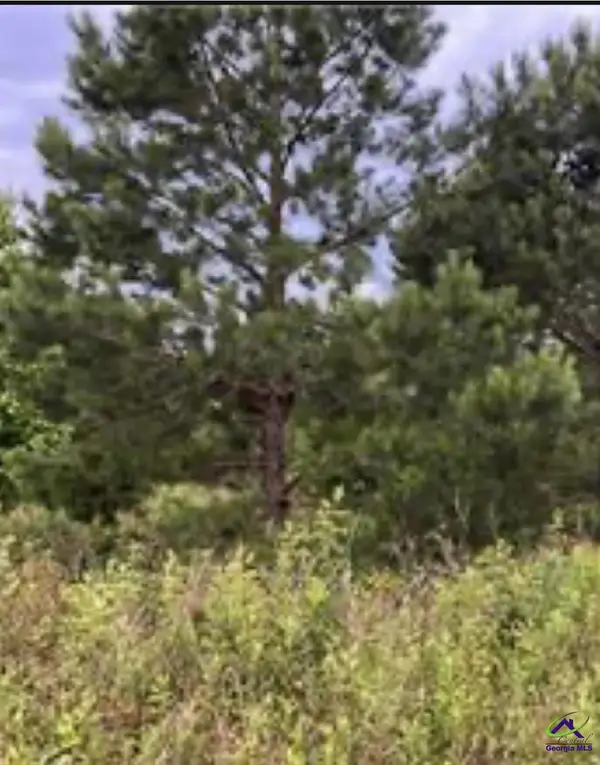 V/L Sandy Lane, Hawkinsville, GA 31036