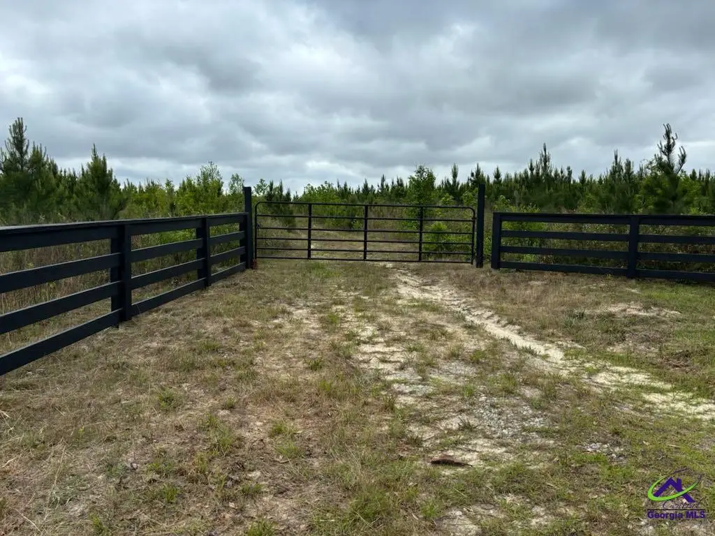 Cactus Hill Road, Roberta, GA 31078 - Image #1