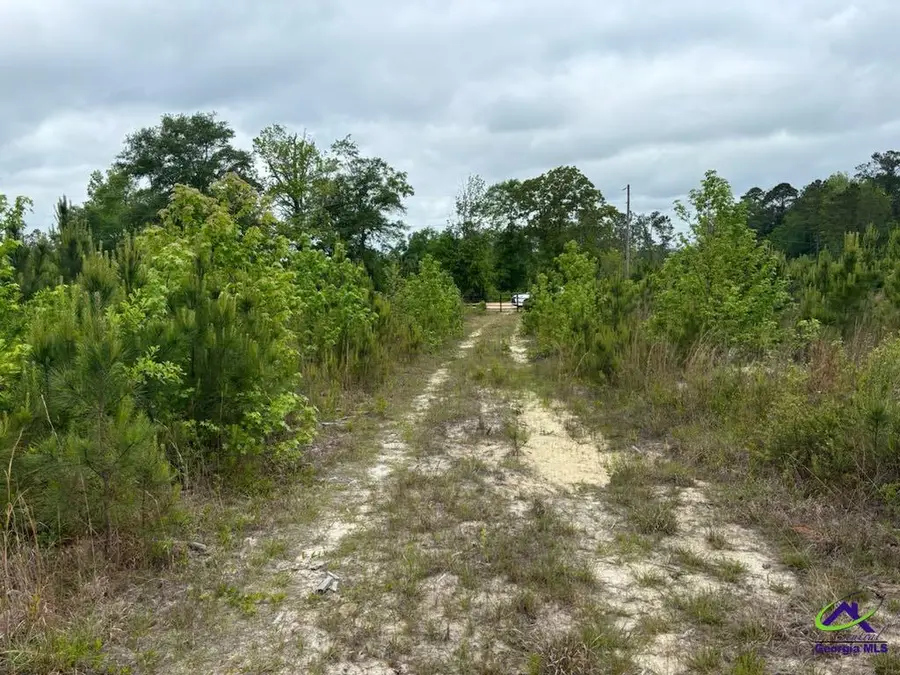 Cactus Hill Road, Roberta, GA 31078 - Image #2