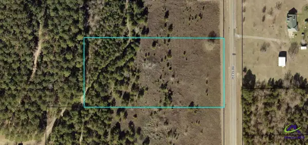 4.13 +/- acres Pitts Rd, Hawkinsville, GA 31036