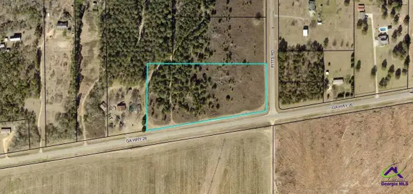 6.44 +/- acres Hwy 26, Hawkinsville, GA 31036