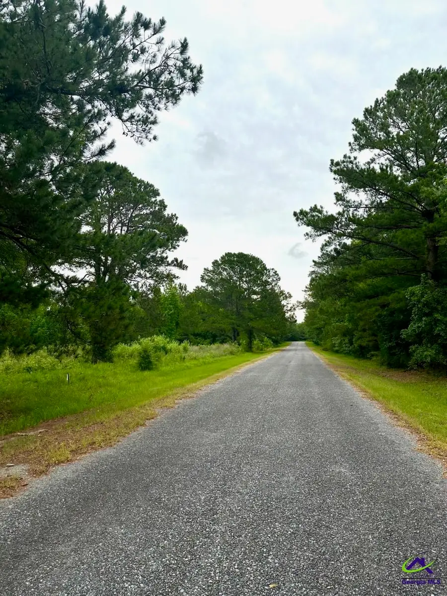 Craftway Drive, Hawkinsville, GA 31036 - Image #3
