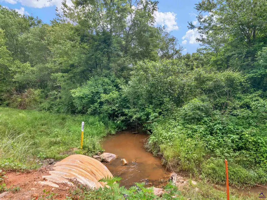 0 Perkins Road, Barnesville, GA 30204 - Image #3