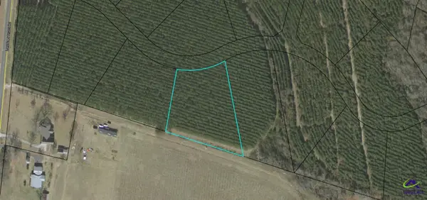 Lot 28 Evergreen Drive, Cochran, GA 31014