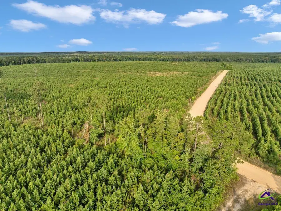 Parcel 1 Whipporwill Road, Reynolds, GA 31076 - Image #2