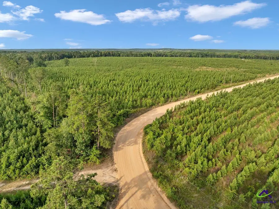 Parcel 8 Carl Rodgers Rd., Reynolds, GA 31076 - #3