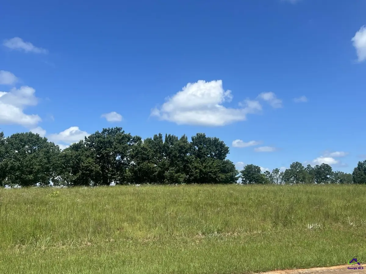 Lot 19 Camden Way, Hawkinsville, GA 31036 - Image #1