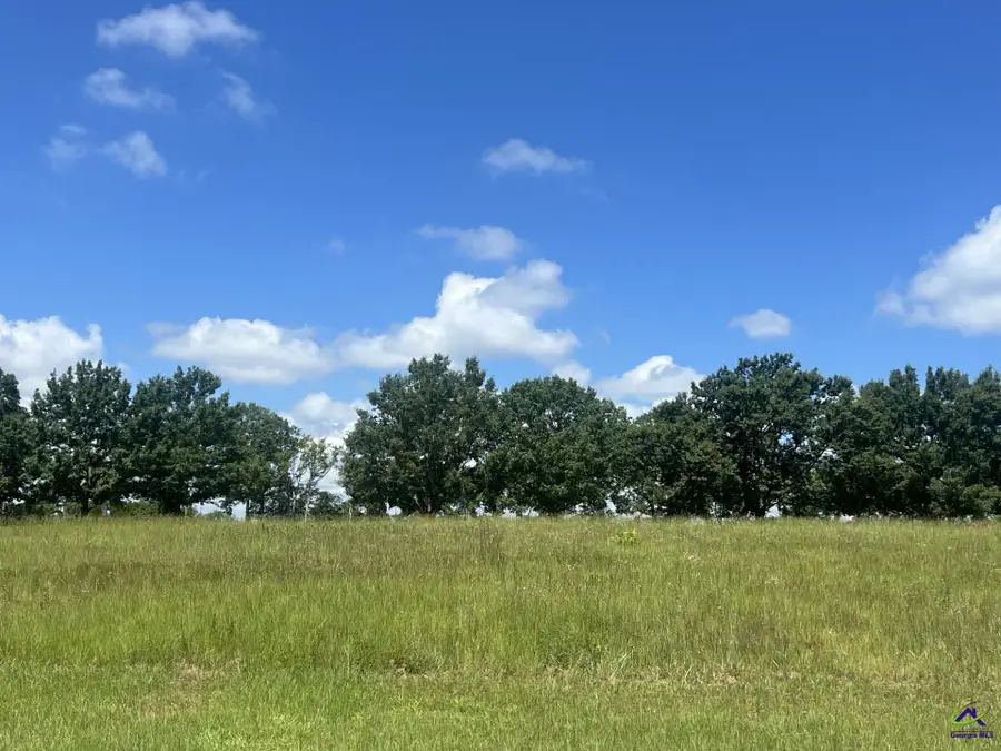 Lot 19 Camden Way, Hawkinsville, GA 31036 - Image #2