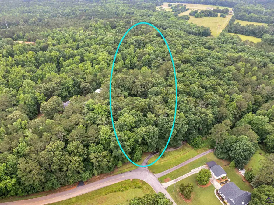 507 N Green Circle, McDonough, GA 30252 - #2