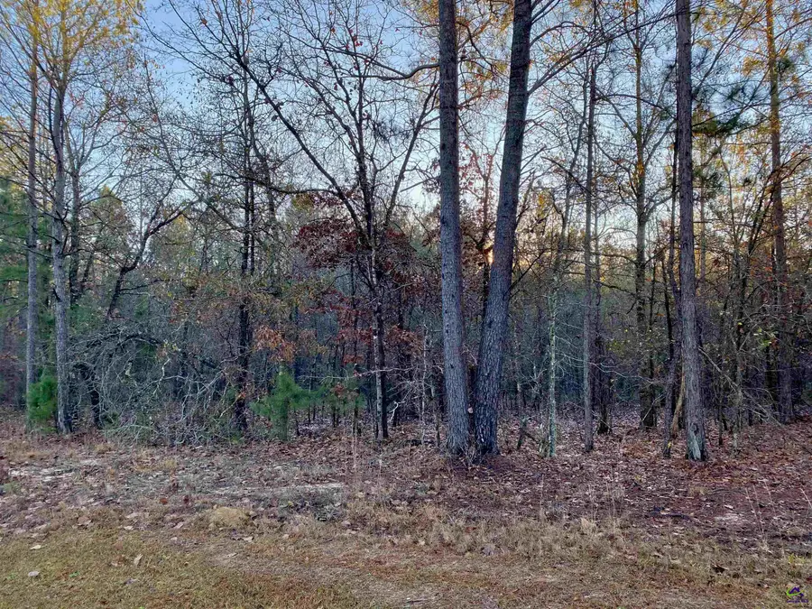 Oak Ridge Drive, Butler, GA 31006 - Image #3