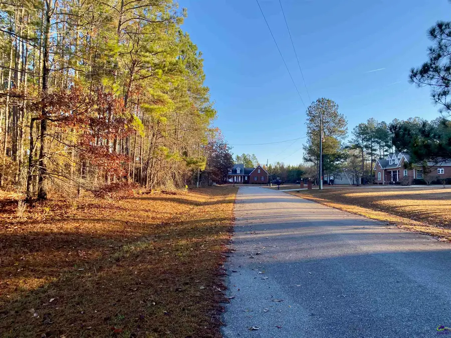 0 N Oak Ridge Drive, Butler, GA 31006 - Image #2