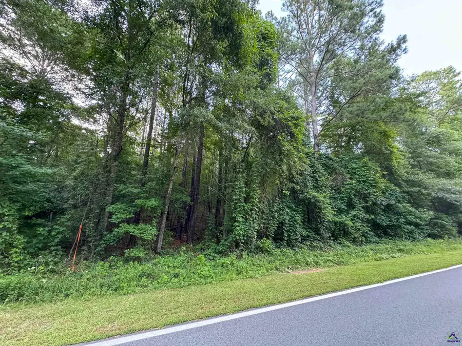 12.6 Acres Hicks Rd, Roberta, GA 31078 - Image #3