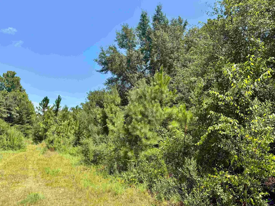 0 S 90 Highway, Cordele, GA 31015 - Image #2