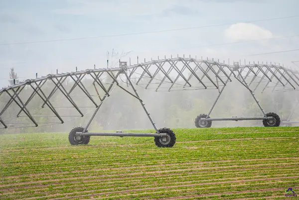 2628 Chauncey Dublin Highway, Chauncey, GA 31011