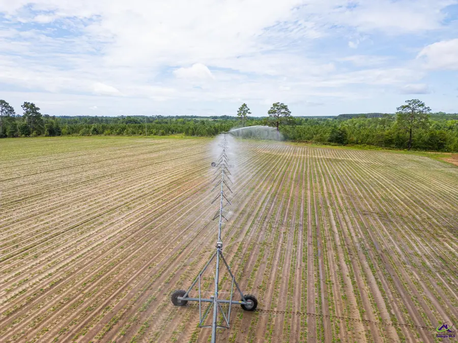 2628 Chauncey Dublin Highway, Chauncey, GA 31011 - Image #3