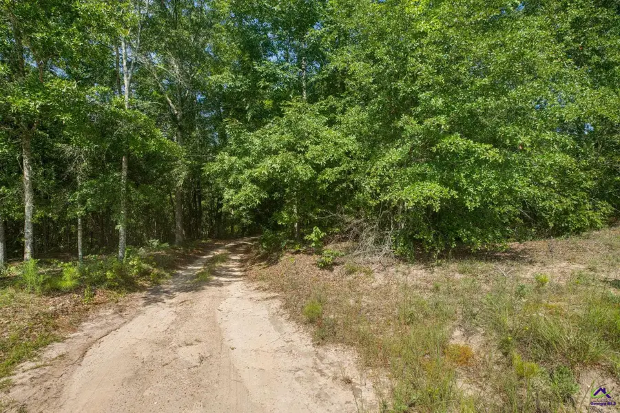 785 Moncrief Road, Roberta, GA 31078 - Image #2