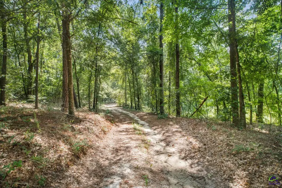 785 Moncrief Road, Roberta, GA 31078 - Image #3